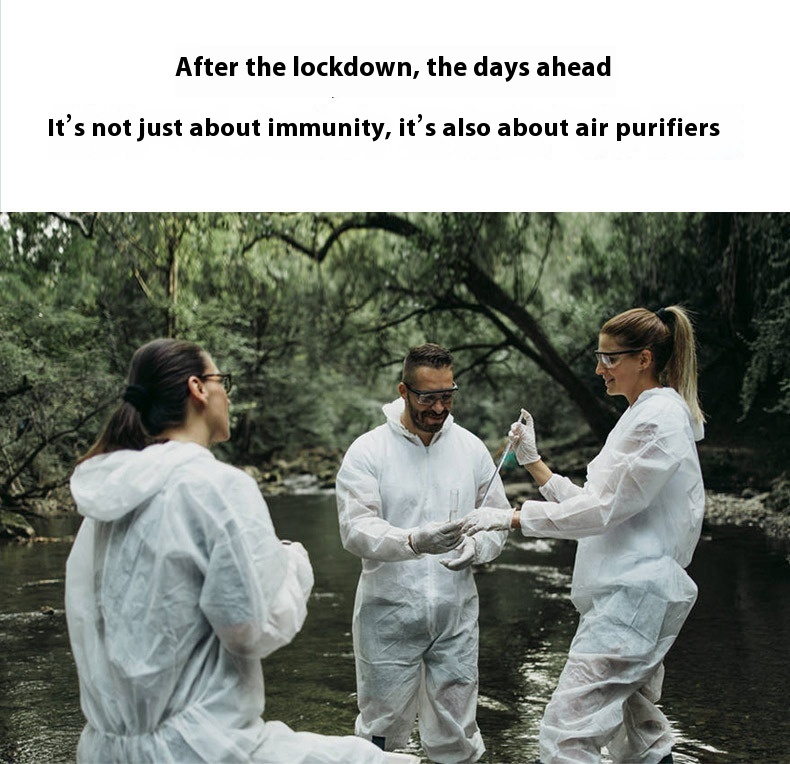 Air Purifier Formaldehyde Removal Deodorant Second-hand Smoke Anion Air Purifier Household - Image 9